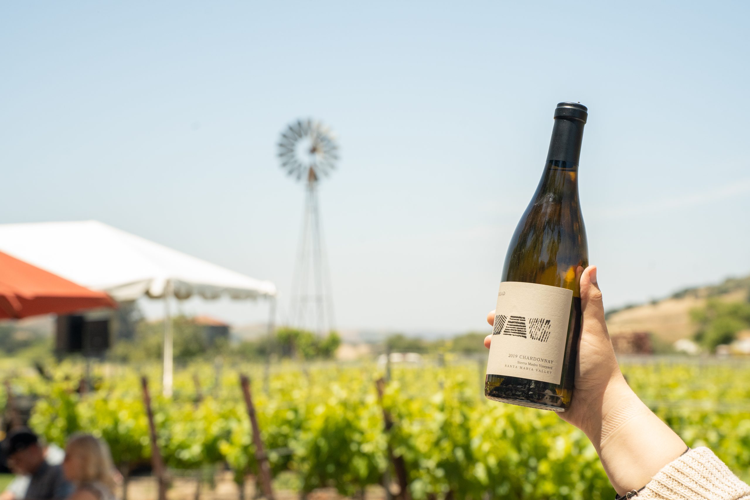 50th Party Hi-Res-24